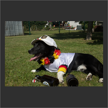 chilled G dog2
